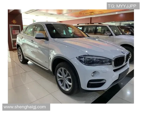 深度对话王军篮球人生的起伏与梦想追逐之路