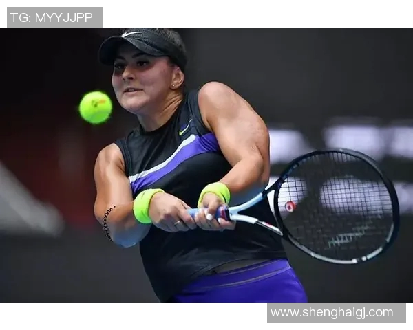 深圳网球队的崛起之路联合会杯特别报道见证荣耀与拼搏