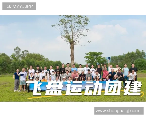 飞盘实力榜单揭晓深圳飞盘队荣登第四名引关注